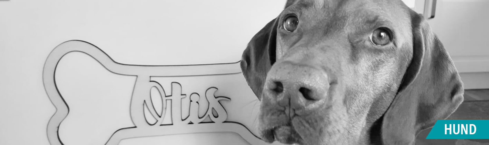 Kategorie Tierische Lieblingsstücke Hund
